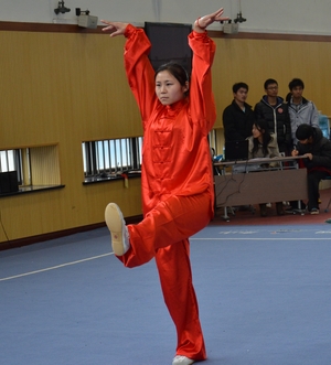 尊龙凯时(中国)人生就是搏!